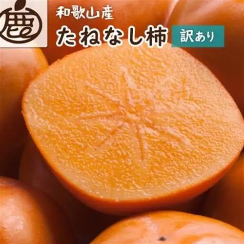 【訳あり・家庭用】 たねなし柿 約10kg【刀根早生・平核無柿(ひらたねなしかき)】【1667411】