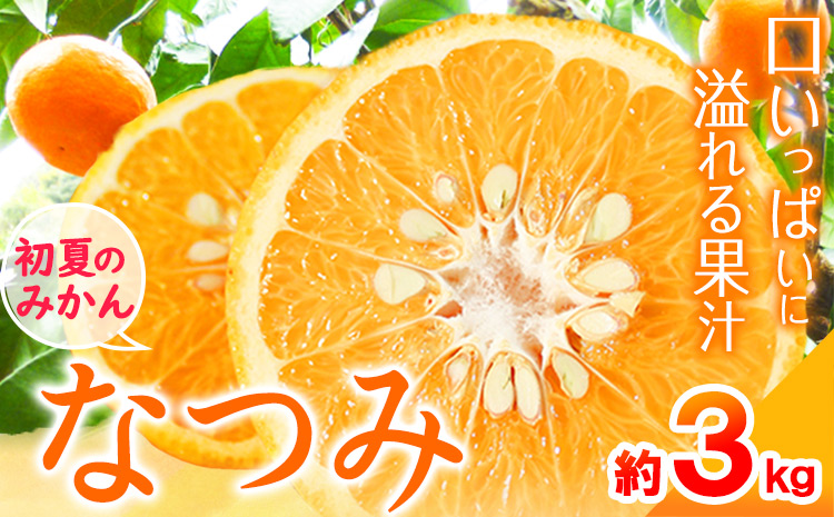 ＜先行予約＞初夏 の みかん なつみ 約 3kg 株式会社魚鶴商店《2026年4月中旬-4月下旬頃出荷》 和歌山県 日高町 みかん なつみ 南津海 柑橘 果物 フルーツ 送料無料