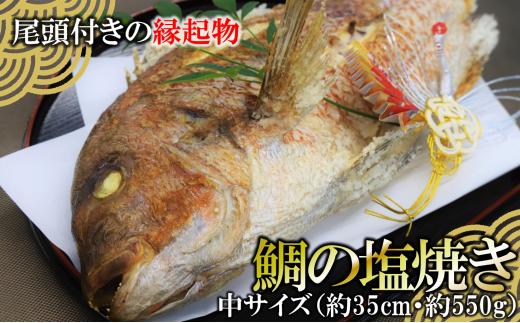 
【尾頭付きの縁起物】 活塩焼き鯛（中サイズ） 1匹（約35㎝・約550g） （15-49）
