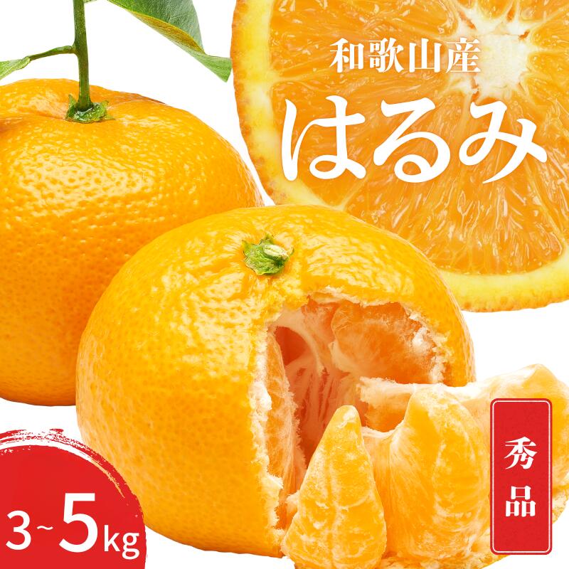 【ふるさと納税】 【先行予約】 秀品 はるみ 和歌山 有田 S～2Lサイズ 大きさお任せ 【選べる容量】 3kg 5kg 【2026年1月下旬～3月下旬までに順次発送予定】/ みかん フルーツ 果物 くだもの 蜜柑 柑橘 オレンジ