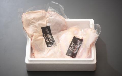 【１２回定期便 】朝びき！信州黄金シャモモモ・ムネ肉セット