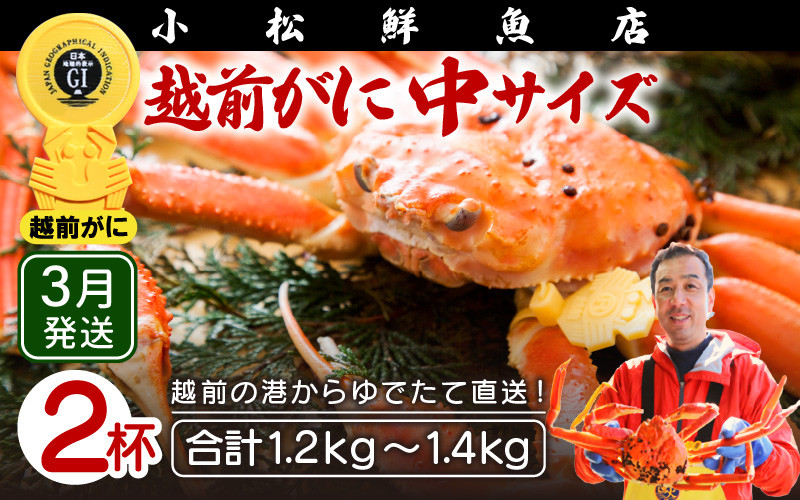 
            越前がに本場の越前町からお届け！ 越前がに≪浜茹で≫中サイズ（生で600～700g） × 2杯【かに カニ 蟹】地元で喜ばれるゆで加減・塩加減で越前の港から直送！【福井県 越前町 雄 ズワイガニ ボイル 冷蔵 越前ガニ 越前かに 越前カニ ずわいがに ずわい蟹 かに カニ 蟹】【3月発送分】希望日指定可 備考欄に希望日をご記入ください [e23-x009_03]
          