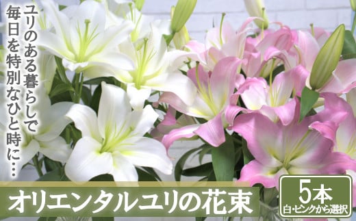 
【産直】オリエンタルユリの花束【5本】＜白・ピンクから選択＞　【11218-0532】
