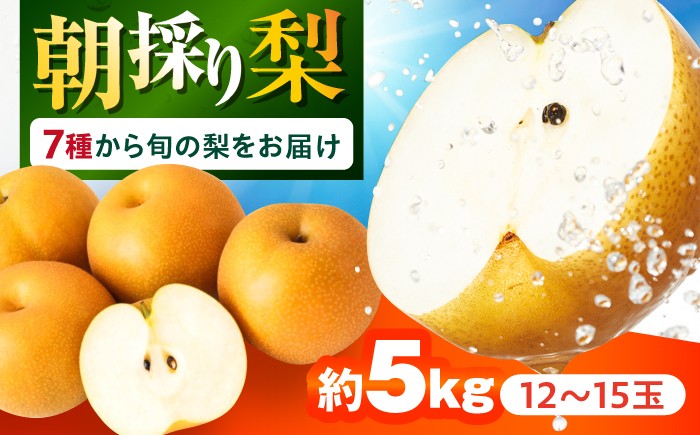 
                  【2026年7月下旬から発送】梨 長崎県産 朝採り旬の梨 約5kg 12玉～15玉 / 梨 ナシ なし 幸水 豊水 秋麗 あきづき 新高 20世紀 かんた フルーツ 果物 / 大村市 / 産直松吉 [ACZC007]
                