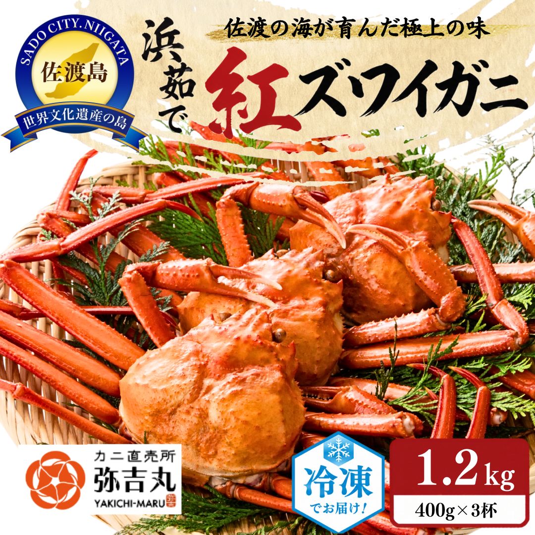 【ふるさと納税】『冷凍』佐渡島直送！浜茹で紅ズワイガニ（1杯400g/3杯）195983-0004