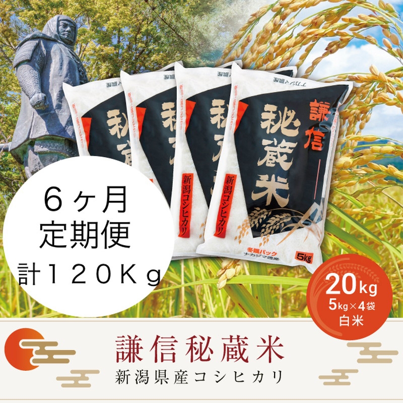 
                  令和7年産 新潟県産 コシヒカリ 定期便（20kg×6回分） 謙信秘蔵米 真空 窒素挿入 冬眠パック 精白米 お米 上越市 上越産 上越米 上杉謙信
                