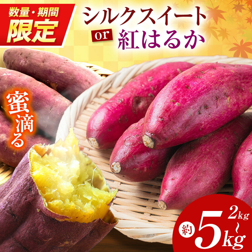 【ふるさと納税】【先行予約】【数量・期間限定】 蜜滴る紅はるか（栽培期間中は農薬・化学肥料不使用）選べる内容量 2kg / 4kg / 5kg | 紅はるか シルクスイート さつまいも 化学肥料不使用 蜜たっぷり 甘いさつまいも 自然栽培 山の恵み ぽりっぽファーム 奈良県 御杖村