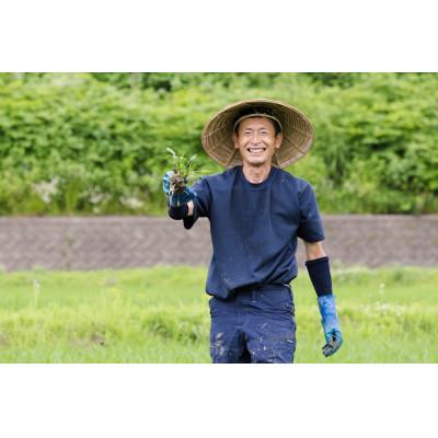 ふるさと納税 十日町市 【令和6年産】江戸伝承極上米(有機米)　有機JAS認証魚沼産コシヒカリ2kg |  | 02