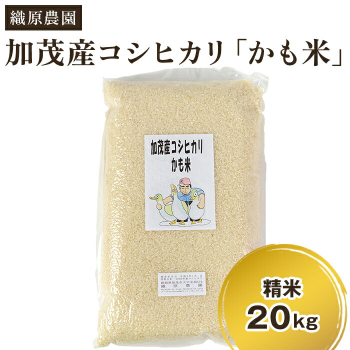 【ふるさと納税】【令和7年産】【無農薬・無化学肥料】新潟産コシヒカリ「かも米」精米20kg（5kg×4袋）《順次出荷》 白米真空パック 従来品種コシヒカリ 加茂市 織原農園