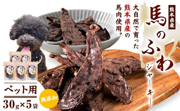 
            ドッグフード ジャーキー 無添加 馬のふわ ジャーキー 30g ×5袋 ペット用 Evol Key 熊本県 御船町《30日以内に出荷予定(土日祝除く)》送料無料
          