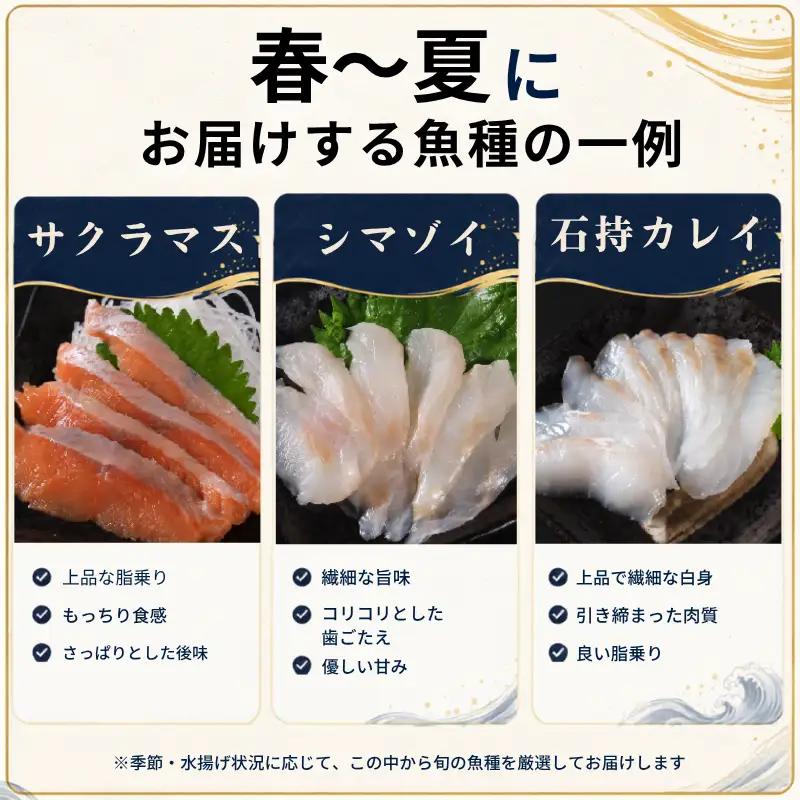 刺身セット 1人前 × 年3回定期便 刺身【AK】