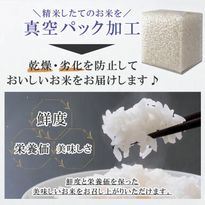 ふるさと納税 柏崎市 お米マイスター厳選!新潟県柏崎産こしひかり 300g(2合)×15個セット NNIA-15KK |  | 01