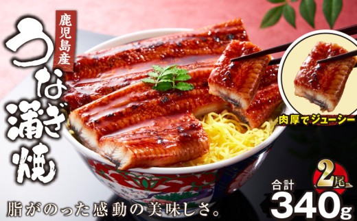 【土用の丑の日特集】1121-4 鹿児島産うなぎ 合計340g（170g×2尾） 清らかな地下水育ち！　KN021-014-02