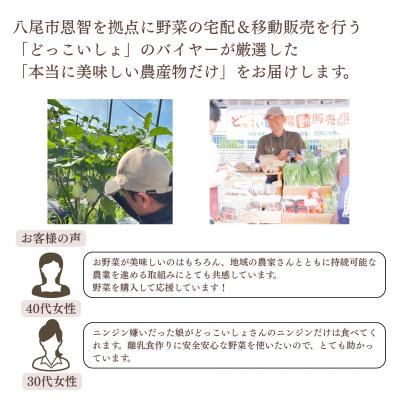 ふるさと納税 八尾市 季節の厳選野菜詰め合わせセット(お届け回数:1回)(A342) |  | 02