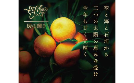 【愛媛県伊方町産】太陽の恵み！甘くてジューシーなみかん 媛の輝き 3kg（2025年11月下旬頃より順次発送） 【 ふるさと納税 人気 おすすめ ランキング みかん ミカン 柑橘 媛の輝き 温州みかん 果物 フルーツ 伊方サービス 愛媛県産 愛媛県 伊方町 送料無料 】 IKTE005