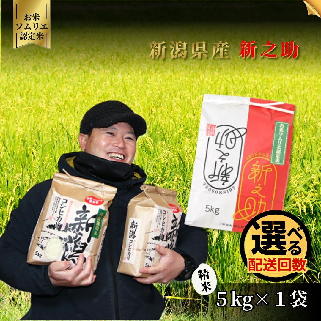 【ふるさと納税】 令和7年産【お米ソムリエのお米】新之助 精米 5kg（5kg×1袋）1回 or 6回 新潟県 五泉市 エバーグリーン農場