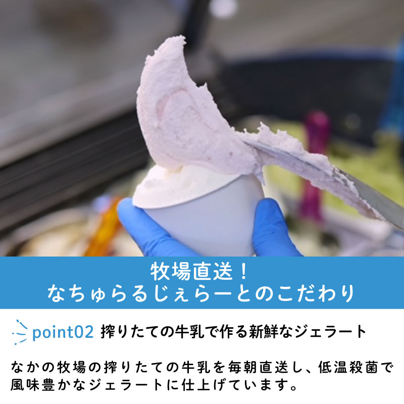 ジェラート  定期便 8個入 2回 ミルク チョコ ブルーベリー チーズ ピスタチオ 塩 キャラメル 塩キャラメル アイス ジェラート セット 季節 限定 季節限定 てづくり なちゅらるじぇらーと な