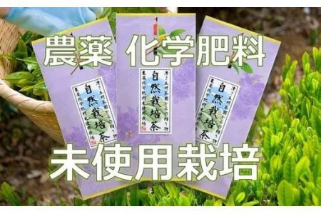 農薬 と 化学肥料未使用の 自然栽培茶 100ｇ×3袋　計300ｇ　美笠園 2035