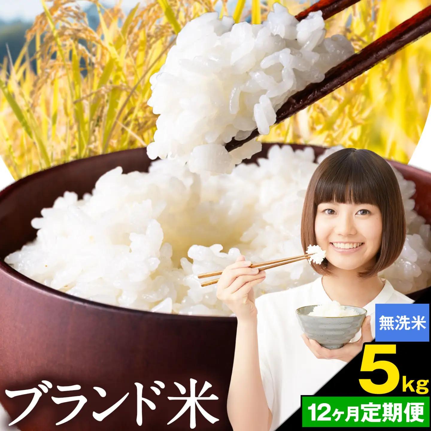 【12ヶ月定期便】米 南関町 単一原料米 (ひのひかりorにこまるorくまさんの輝き)  無洗米 5kg《お申込み翌月から出荷》熊本県産 国産 無洗米 こめ コメ 5キロ