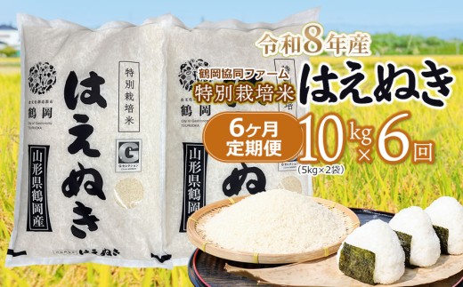 【令和8年産先行予約】 特別栽培米はえぬき　精米 10kg (5kg×2袋)×6ヶ月【定期便】　鶴岡協同ファーム