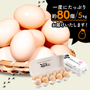 【京都 こだわり たまご】葉酸たまご 約 80個 5kg ( 卵 たまご 濃い卵セット 卵焼き 卵かけご飯 ゆで卵 卵とじ 生卵 鶏卵 卵黄 卵白 葉酸 ビタミン アミノ酸 たんぱく質 10000円 