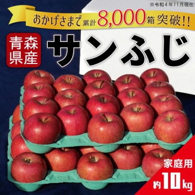 りんご サンふじ 家庭用 約10kg【配送不可地域：離島・沖縄県】