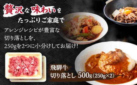 ＼贅沢な味わいをご家庭で／ 【飛騨牛】切り落とし 500g (250g×2)【肉のひぐち】 国産 ブランド牛 和牛 BBQ キャンプ  [TDC009]