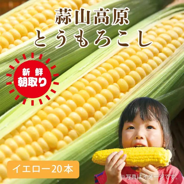 蒜山高原 とうもろこし イエロー20本 【配送不可地域：北海道／沖縄県／離島】【jujy002-02】