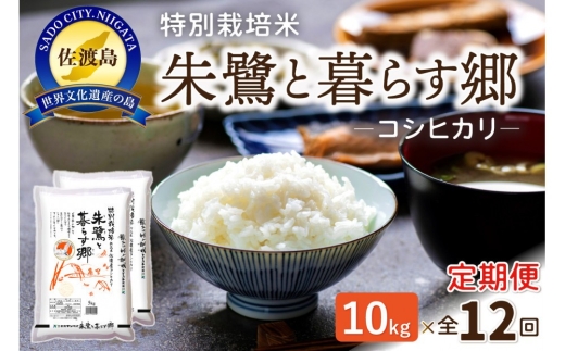 【12か月定期便】佐渡産コシヒカリ「朱鷺と暮らす郷」精米10kg（5kg×2袋）×毎月 合計120kg | 新潟県産コシヒカリ 新潟産コシヒカリ 佐渡産コシヒカリ 新潟県産こしひかり 佐渡産こしひかり 朱鷺と暮らす郷 トキ 朱鷺 お米 米 こしひかり 白米 精米 おこめ コメ 10キロ にいがた さど 新潟県 佐渡市