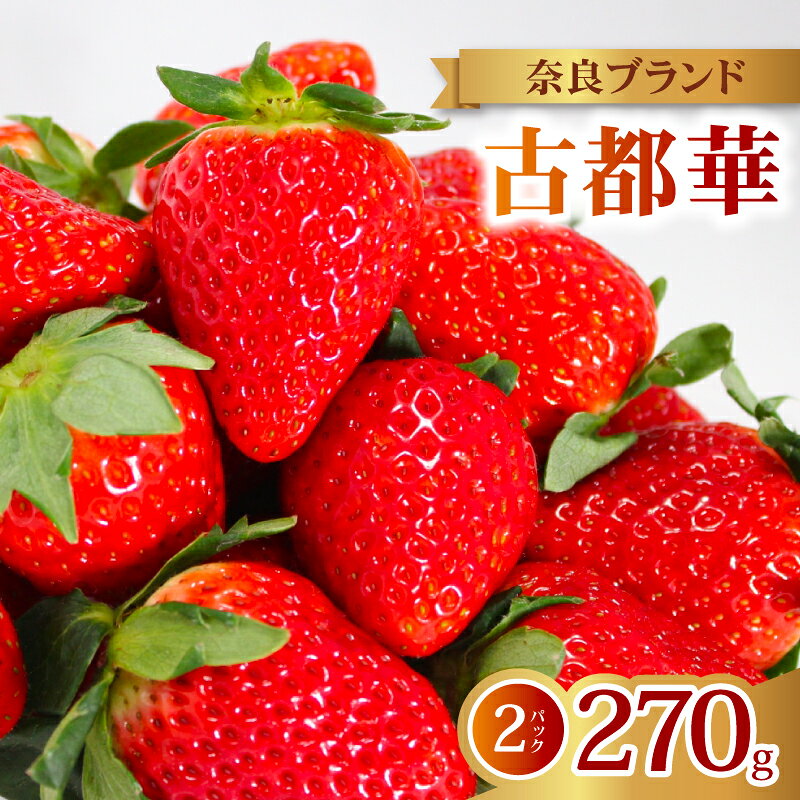 【ふるさと納税】 いちご 古都華 2026年発送 (270g×2パック) 家庭用 予約受付中 数量限定 先行予約 いちご 苺 奈良ブランド苺 イチゴ ブランド 古都華 大粒 苺 旬 産地 直送 フレッシュ 新鮮 フルーツ 果物 くだもの 萩原いちご農園 奈良県 奈良市
