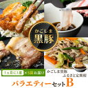 【ふるさと納税】＜定期便・全5回(毎月)＞バラエティーセットB！ 肩ロース バラ ロース 黒豚餃子 焼豚 干し芋 バラエティー 豚肉 かごしま黒豚ふるさと定期便 鹿児島 国産 九州産 お肉 精肉 ギョーザ ぎょうざ 干芋 焼肉 とんかつ しゃぶしゃぶ ギフト 贈答【和田養豚】