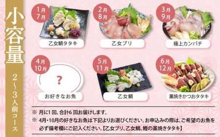定期便 6回 小島水産 お刺身 海鮮 魚介 少量コース | 魚介定期便 海鮮定期便 6ヶ月海鮮定期便 お刺身定期便 KS30000-x