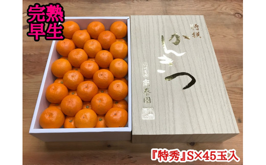 
                  年内発送 完熟早生 有田みかん 化粧箱 特秀 S サイズ 45玉入 和歌山 南泰園 みかん
                