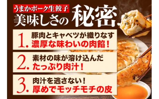 餃子 うまかポーク生餃子 150個（30個）《7-14営業日以内に出荷予定(土日祝除く)》餃子  皮モチモチ---fn_fozupgz_wx_23_15000_150p---