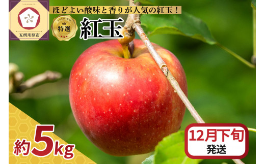 【2024年12月下旬発送】 りんご 5kg 紅玉 青森