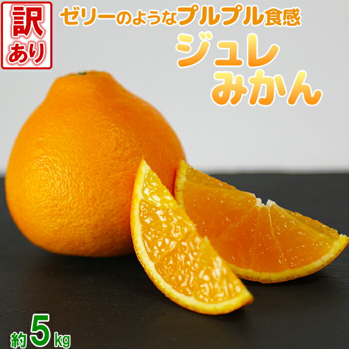 【ふるさと納税】【訳あり品】岩尾農園のジュレみかん 約5kg 先行予約 果物 フルーツ 傷 規格外 不揃い＜066-001＞