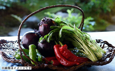 【下鴨茶寮本店】利用券30,000円分｜京都 老舗料亭 人気店 食事券 食事券 食事券 食事券 食事券 食事券