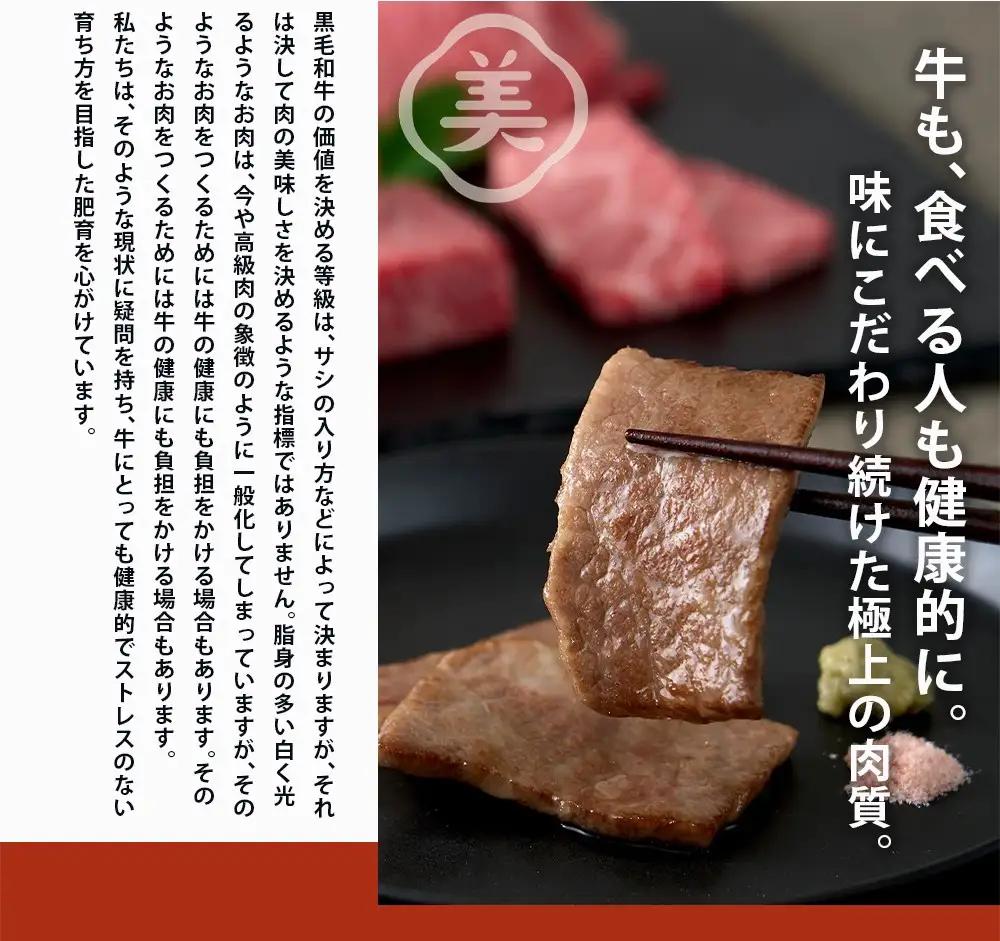 ハンバーグ 美熊野牛 100％ 100g×5個 ハンバーグ【okad0007】