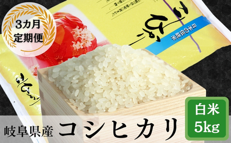 ≪令和7年産≫ 【3か月定期便】岐阜 コシヒカリ （約5kg×3回）