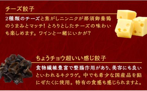 宇都宮餃子 ニンニクマシマシ スタミナ餃子 20個 保存料不使用【冷凍餃子 ぎょうざ ギョウザ 冷凍食品 惣菜 栃木県 宇都宮市 】※配送不可地域:離島