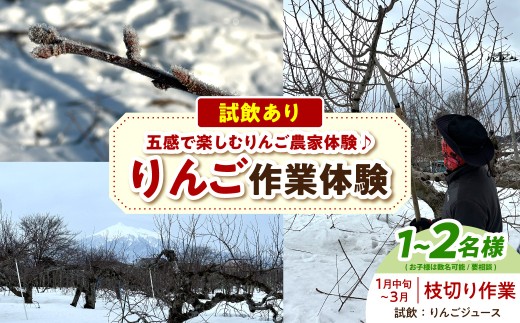 りんご 作業体験（枝切り／1月中旬～3月） 体験型 返礼品 農業 大人2名まで 子どもも一緒に！【トキあっぷる社】青森県 五所川原市 体験型返礼品 収獲体験 収穫 摘果 葉取り 枝切り