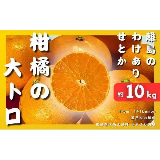 【2027年3月発送】 瀬戸内 訳あり せとか 約10kg 