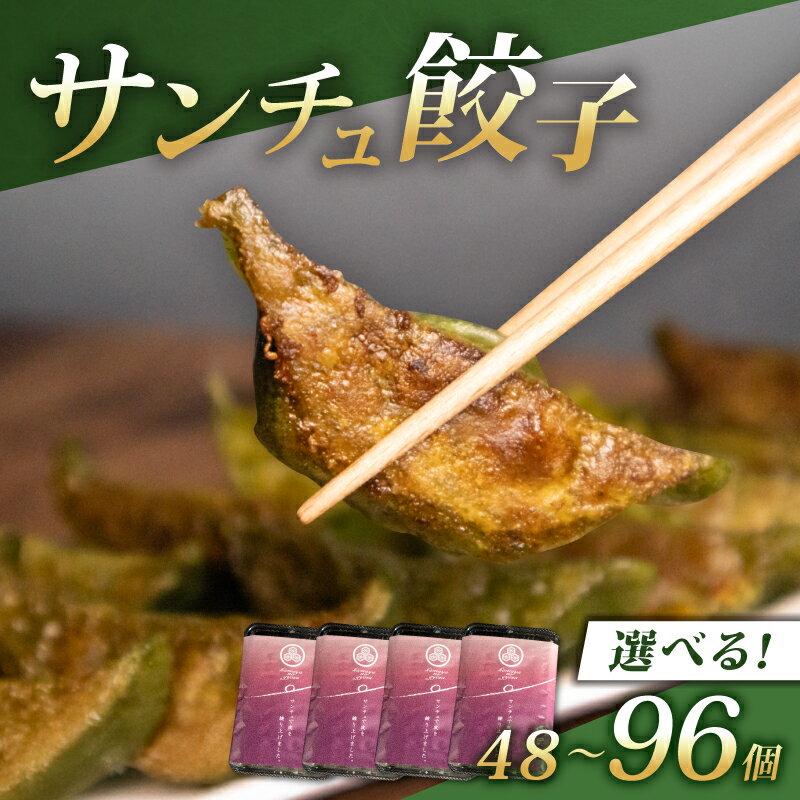 【ふるさと納税】 サンチュ 餃子 48個/96個 冷凍 小分け 国産 豚肉 サンチュ 野菜 たっぷり 手軽 絶品 晩ごはん 家族 子ども 弁当 惣菜 おかず おつまみ 簡単調理 ぎょうざ ギョーザ 焼き餃子 水餃子 ジューシー シャキシャキ パリパリ もちもち