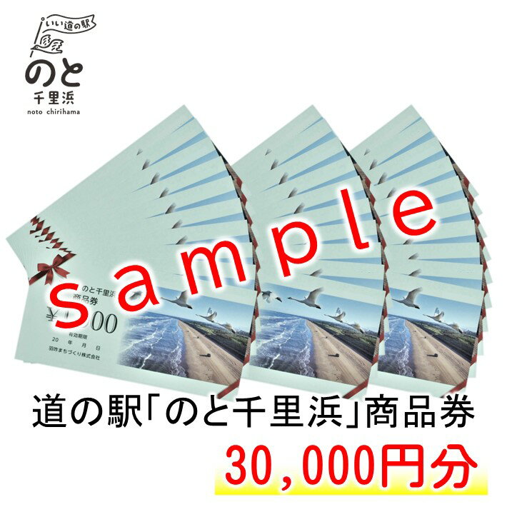 道の駅のと千里浜オリジナル商品券（30,000円）