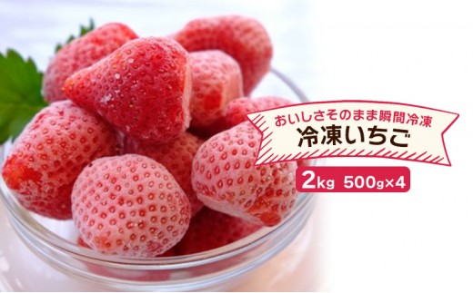 
いちご 冷凍いちご 500g×4 イチゴ 苺 果物 デザート ベリー畑 福田ファーム ※配送不可：沖縄、離島
