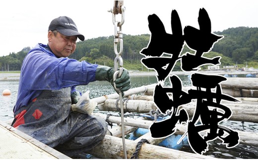 【2026年3月前半発送】牡蠣のガンガン焼きと海の幸 セット 〈殻付き牡蠣 / 牡蠣オイル漬け / ホヤむき身 / 塩蔵わかめ〉【 牡蠣 かき 殻付き ホヤ わかめ 詰め合わせ 人気 国産 三陸産 】RT793
