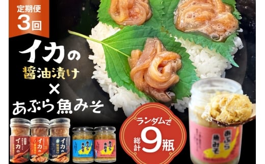ご飯のお供 あぶらみそ イカ 醤油漬け 3本 ランダムでお届け 3回 定期便 総計9本 [康貴丸水産 長崎県 平戸市 hr42bgy400204] お取り寄せ おにぎり おかず 具材 油味噌 魚 さかな 塩辛