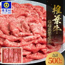 【ふるさと納税】宮崎県産 椎葉牛 ももスライス【500g】【1kg】【A5等級】｜送料無料 A5 a5 A5ランク 宮崎県 肉 和牛 黒毛和牛 国産 冷凍 父 母 お祝い お中元 お歳暮 贈り物 ギフト プレゼント 焼き肉 もも スライス すきやき スキヤキ すき焼き 牛丼 炒め物 BBQ キャンプ｜