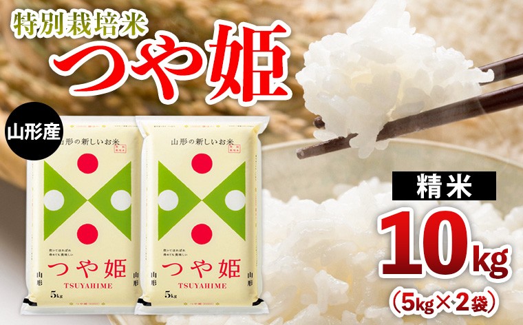 
                  山形産 特別栽培米 つや姫 10kg(5kg×2) FY25-472
                
