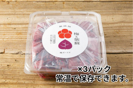 【大容量/無添加梅干し】天日塩と紫蘇だけで漬けた梅干し　1kg×3パック/南高梅 /梅ボーイズ C-203